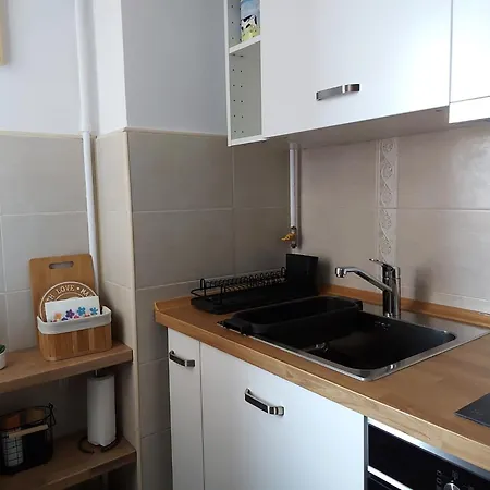 Zara Apartment Brasov