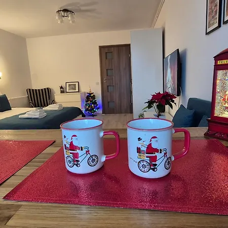 Apartment Zara Brasov