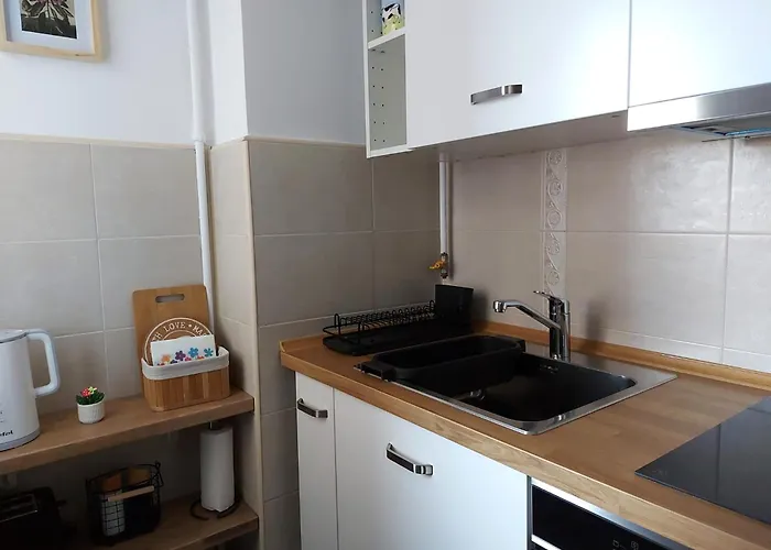 Zara Apartment Brasov