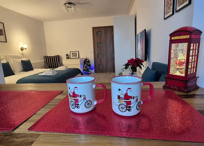 Apartment Zara Brasov